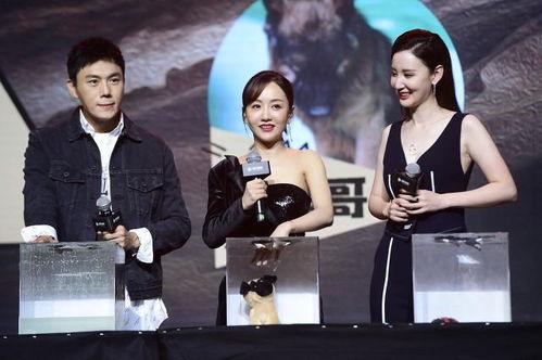 娱乐圈吧吃瓜爆料,揭秘明星背后的惊人真相!