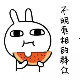 娱乐吃瓜酱经典语录大全,笑料百出,智慧闪耀