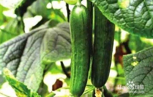 糖豆豆娱乐圈吃瓜合集,揭秘明星幕后故事,吃瓜合集大放送