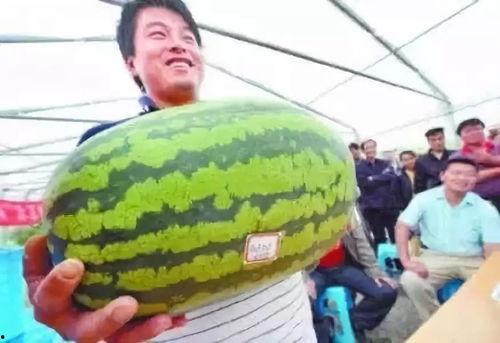 娱乐吃瓜7月,吃瓜群众狂欢季,热点事件盘点