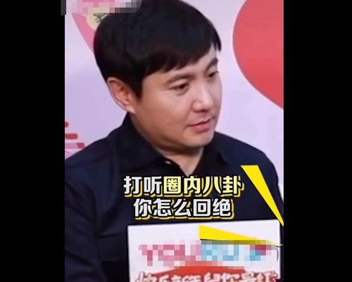 娱乐吃瓜小仔,吃瓜小仔带你探秘明星幕后故事