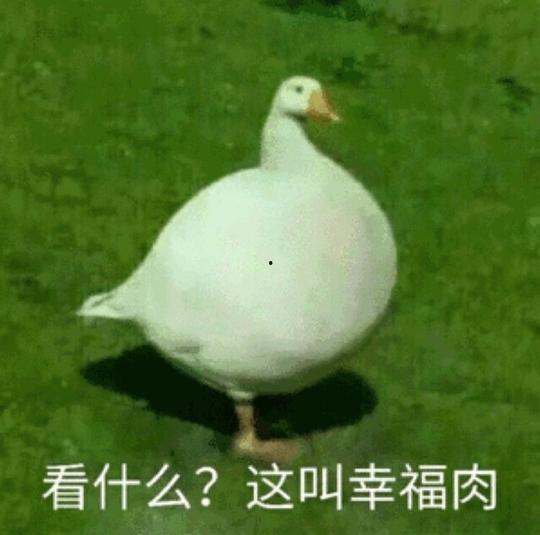 娱乐吃瓜鹅鸭视频大全